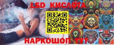 шишки Заводоуковск