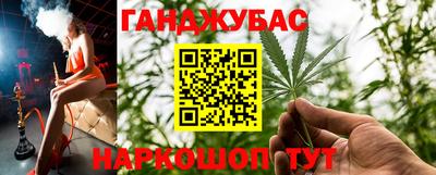 шишки Заводоуковск