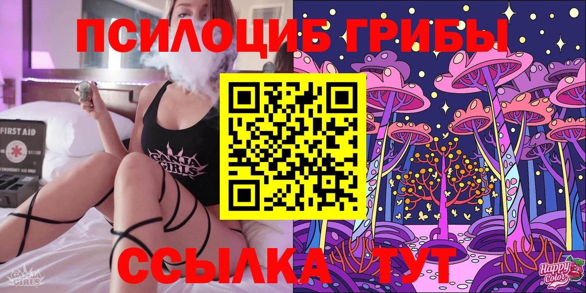 Биробиджан  Галлюциногенные грибы Psilocybine cubensis  купить   Вход с VPN 