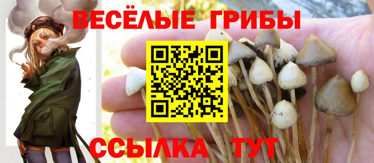 Галлюциногенные грибы MAGIC MUSHROOMS Биробиджан
